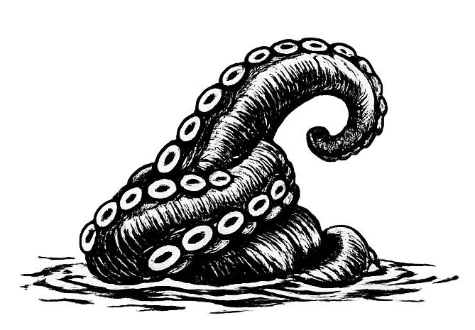 A black and white illustration of a coiled octopus tentacle with prominent circular suckers, rendered with detailed cross-hatching and line work on a textured surface.