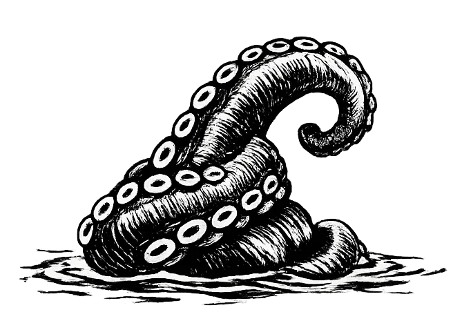 A black and white illustration of a coiled octopus tentacle with prominent circular suckers, rendered with detailed cross-hatching and line work on a textured surface.